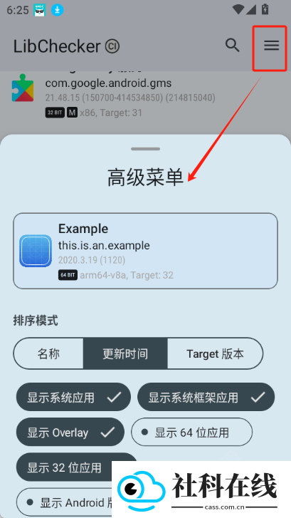 LibChecker