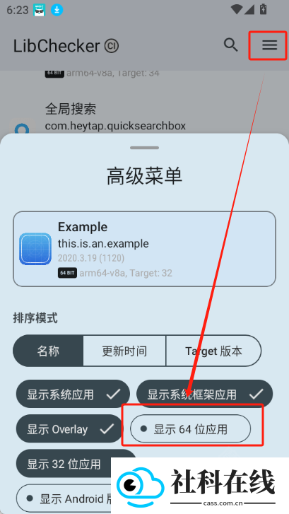LibChecker