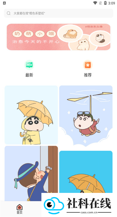 白茫壁纸正版