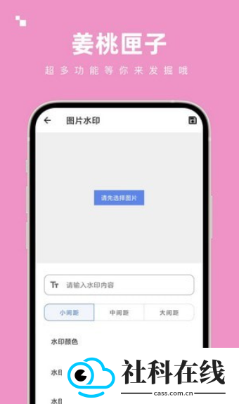 姜桃匣子