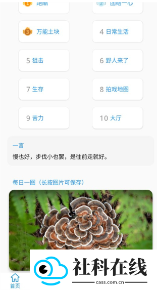 迷你开发者工具箱官方正版