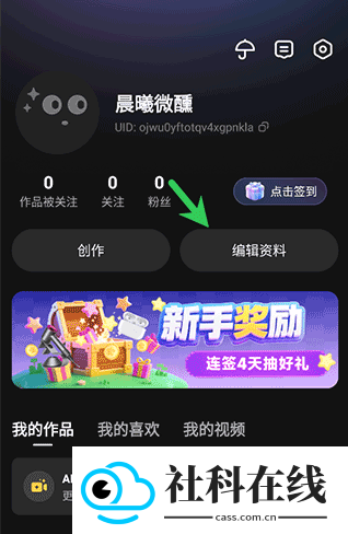 他她它
