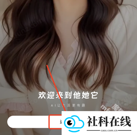 他她它