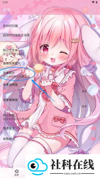 ty模拟器galgame
