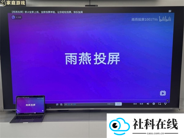 雨燕投屏TV版