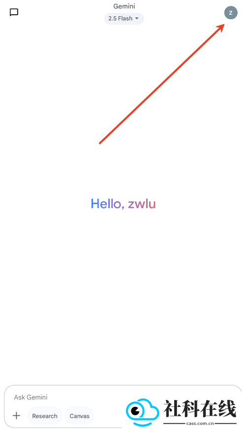 google gemini安装包