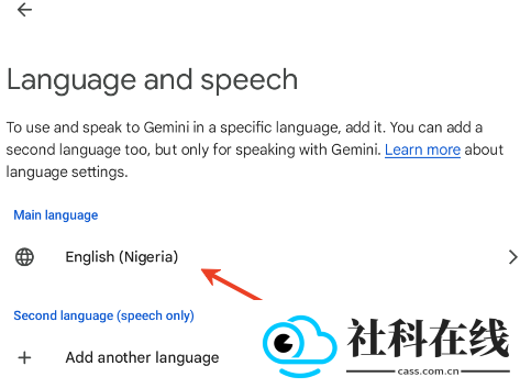 google gemini安装包
