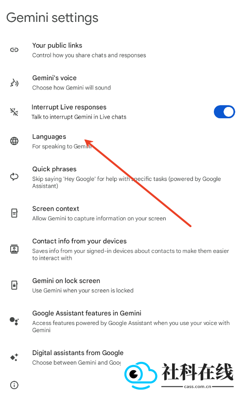 google gemini安装包