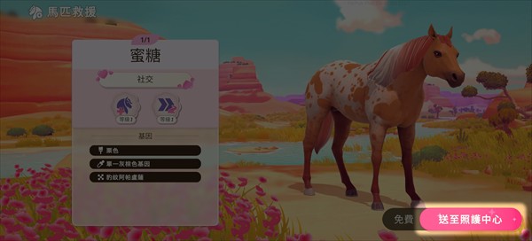 芭比爱心马场正版