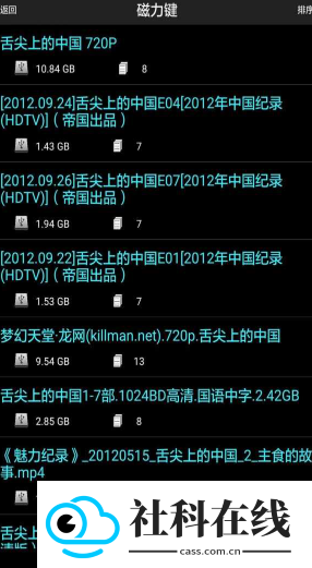 p2p种子搜索器安卓版