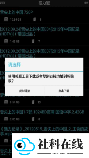 p2p种子搜索器安卓版