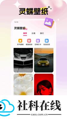 灵蝶壁纸