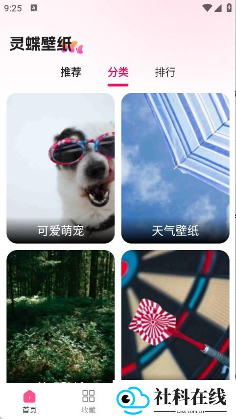 灵蝶壁纸