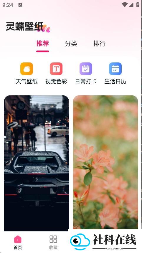 灵蝶壁纸