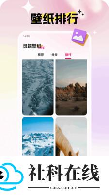 灵蝶壁纸