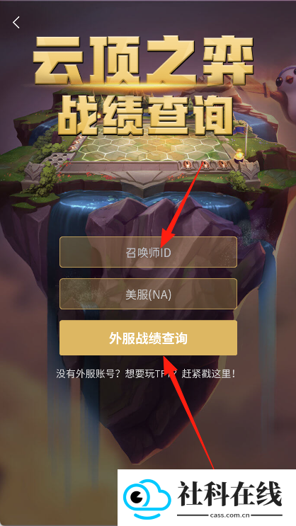云顶攻略助手