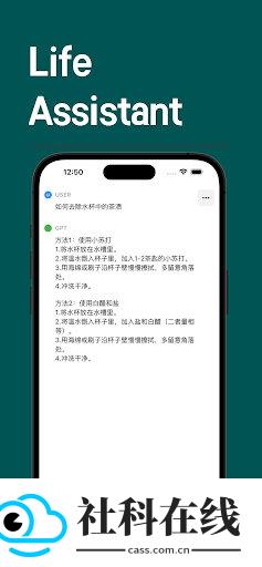 chat ai中文版
